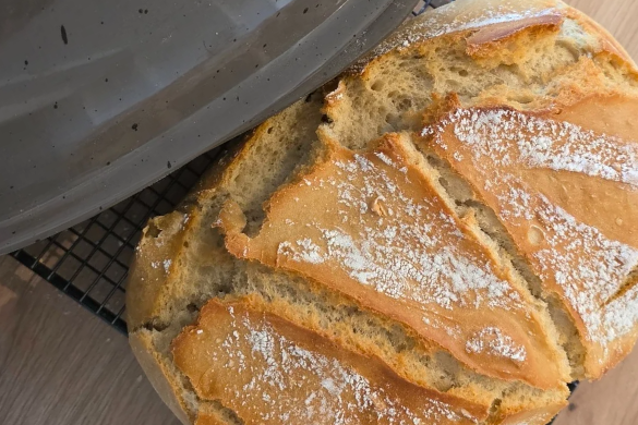 Webseite+Rezeptbilder+(585+x+390+px)_20260119_141621_0000